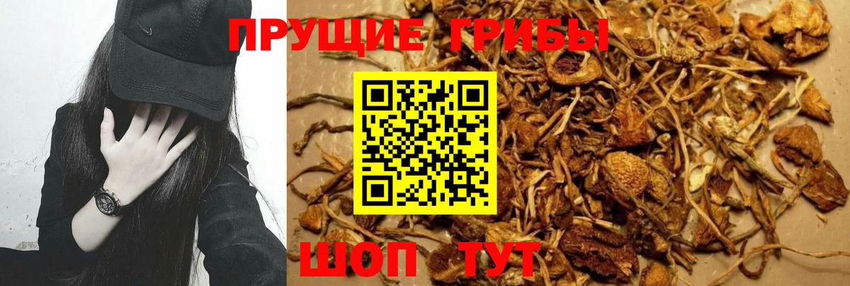 Галлюциногенные грибы Magic Shrooms Киселёвск
