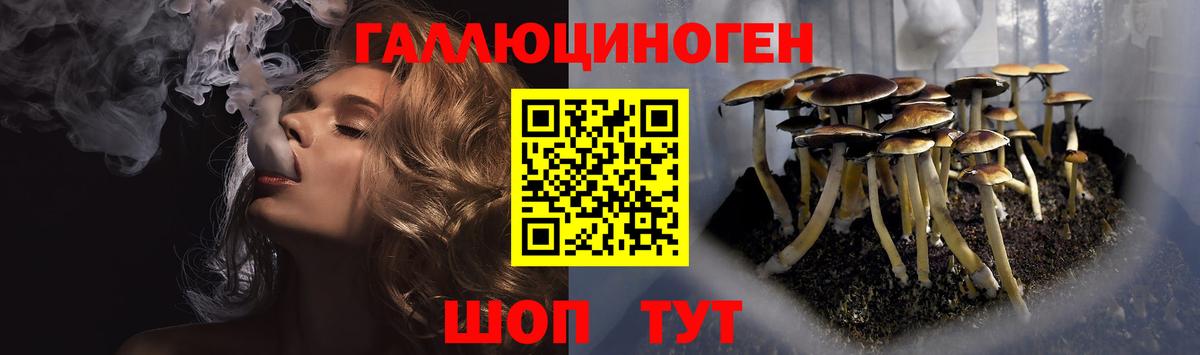 Киселёвск  Псилоцибиновые грибы Cubensis  Галлюциногенные грибы Psilocybe  Вход с VPN 